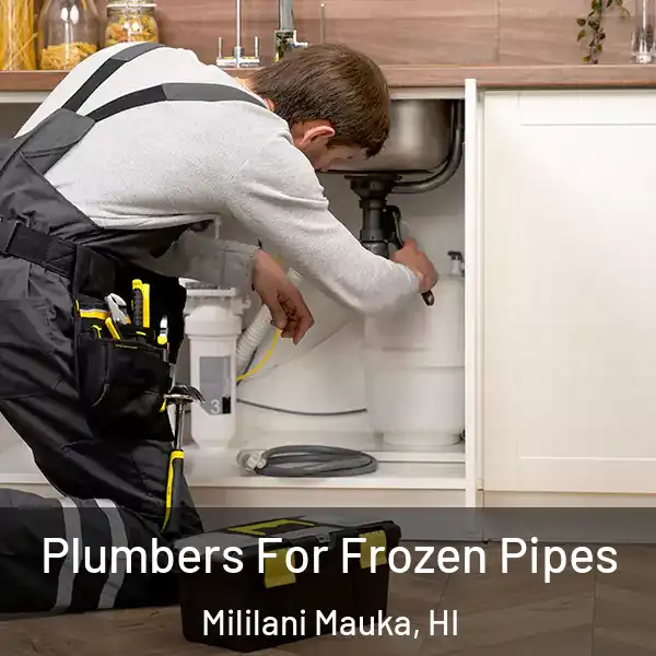  Plumbers For Frozen Pipes Mililani Mauka, HI