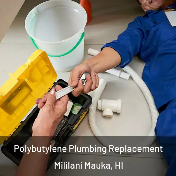  Polybutylene Plumbing Replacement Mililani Mauka, HI